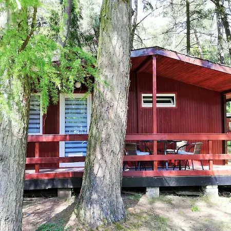 Alojamento de Turismo Selvagem Domek Na Mazurach