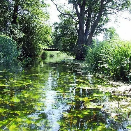 Domek Na Mazurach Węgorzewo